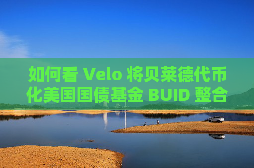 如何看 Velo 将贝莱德代币化美国国债基金 BUID 整合到稳定币?