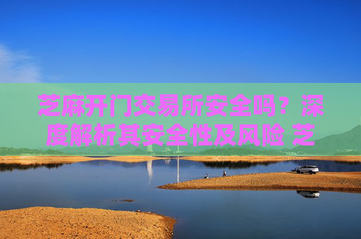 芝麻开门交易所安全吗？深度解析其安全性及风险 芝麻开门交易所安全嘛