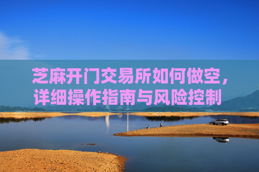 芝麻开门交易所如何做空，详细操作指南与风险控制 芝麻开门交易所如何做空