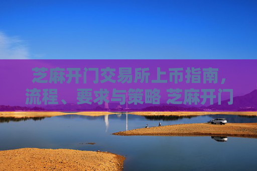 芝麻开门交易所上币指南，流程、要求与策略 芝麻开门交易所怎么上币
