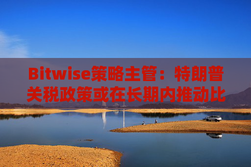 Bitwise策略主管：特朗普关税政策或在长期内推动比特币上涨