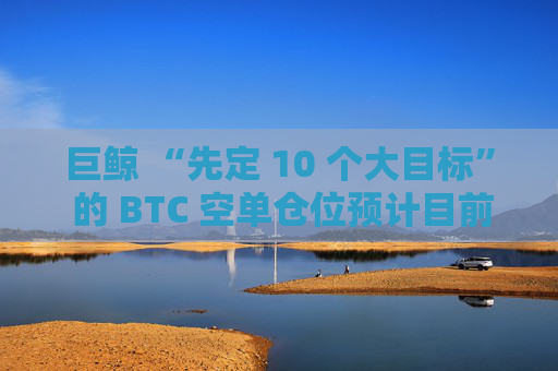 巨鲸 “先定 10 个大目标” 的 BTC 空单仓位预计目前已浮盈 2441 万美元