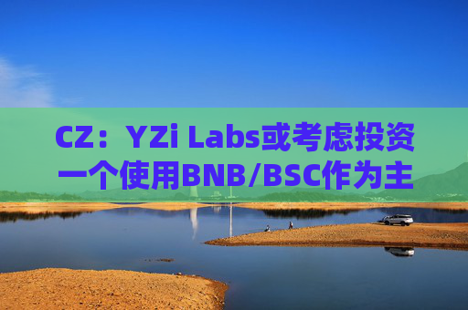 CZ:YZi Labs或考虑投资一个使用BNB/BSC作为主要支付选项来开发良好MVP的项目
