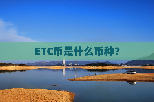 ETC币是什么币种?
