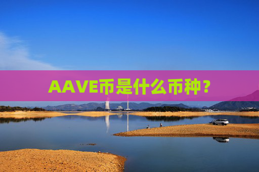 AAVE币是什么币种?