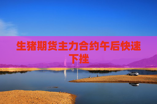 生猪期货主力合约午后快速下挫