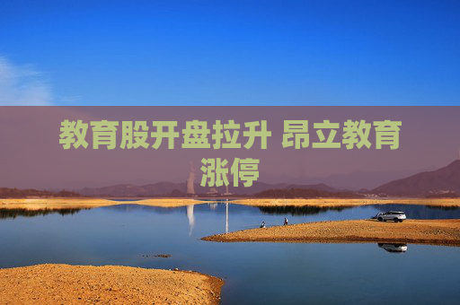 教育股开盘拉升 昂立教育涨停