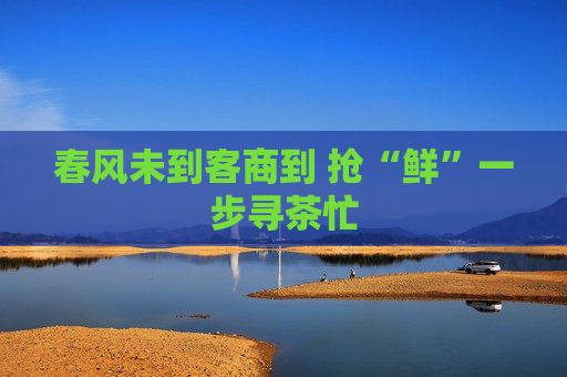 春风未到客商到 抢“鲜”一步寻茶忙