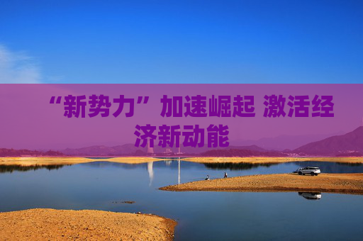 “新势力”加速崛起 激活经济新动能