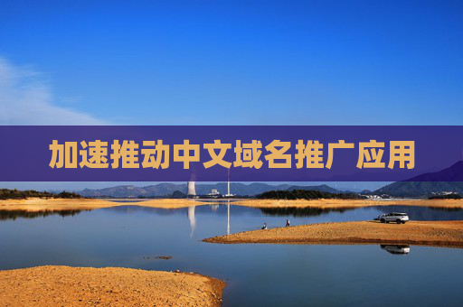 加速推动中文域名推广应用
