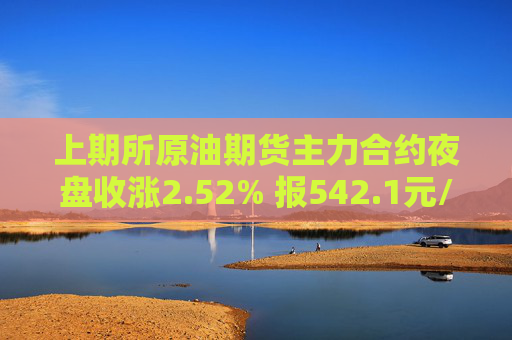 上期所原油期货主力合约夜盘收涨2.52% 报542.1元/桶