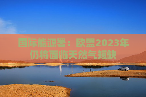 国际能源署：欧盟2023年仍将面临天然气短缺