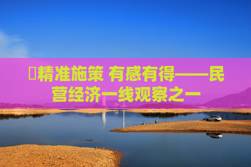 ​精准施策 有感有得——民营经济一线观察之一
