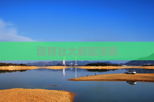 培育壮大新型消费