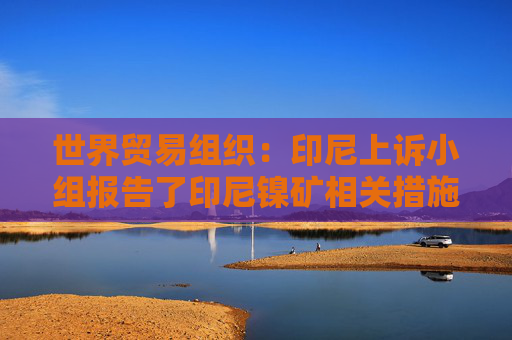 世界贸易组织：印尼上诉小组报告了印尼镍矿相关措施的争议