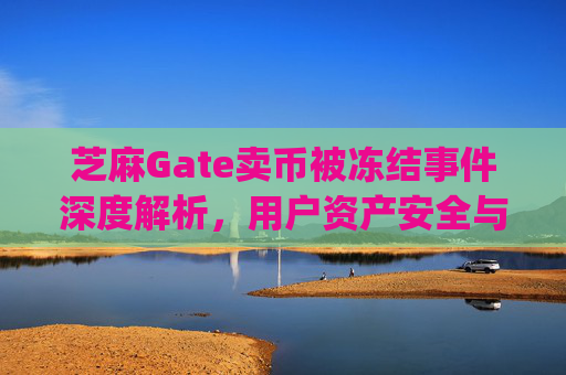 芝麻Gate卖币被冻结事件深度解析，用户资产安全与交易所信任危机 芝麻gate卖币被冻结