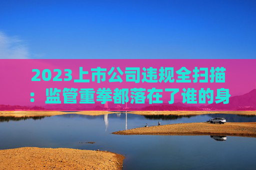 2023上市公司违规全扫描：监管重拳都落在了谁的身上？