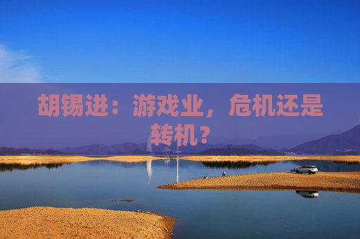胡锡进：游戏业，危机还是转机？