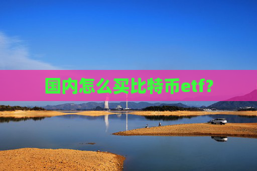国内怎么买比特币etf?