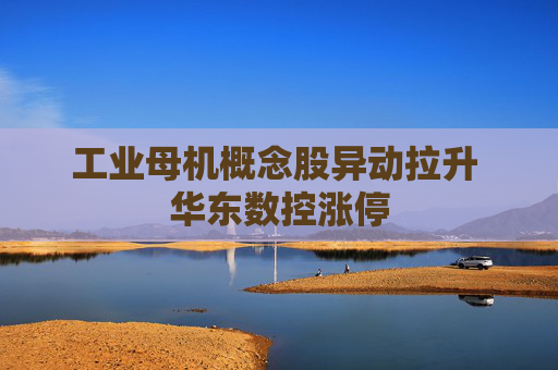 工业母机概念股异动拉升 华东数控涨停