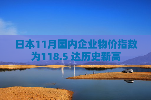 日本11月国内企业物价指数为118.5 达历史新高