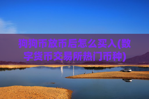 狗狗币放币后怎么买入(数字货币交易所热门币种)