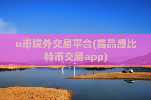 u币境外交易平台(高品质比特币交易app)