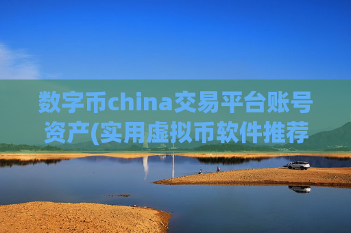 数字币china交易平台账号资产(实用虚拟币软件推荐)