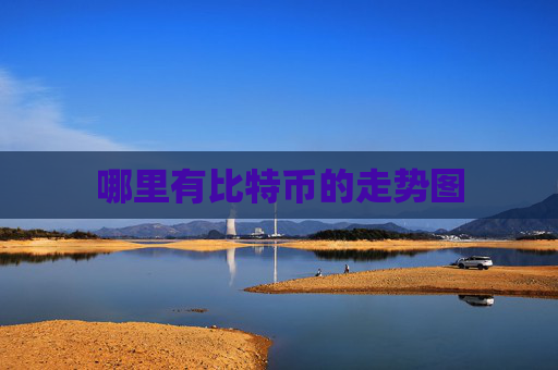 哪里有比特币的走势图