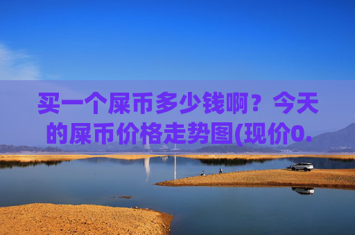 买一个屎币多少钱啊?今天的屎币价格走势图(现价0.00023616元)