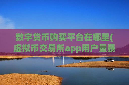 数字货币购买平台在哪里(虚拟币交易所app用户量暴增)