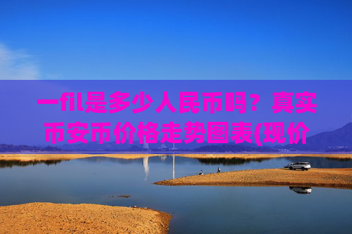 一fil是多少人民币吗？真实币安币价格走势图表(现价5484.87元)