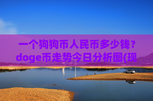 一个狗狗币人民币多少钱?doge币走势今日分析图(现价3.3784元)