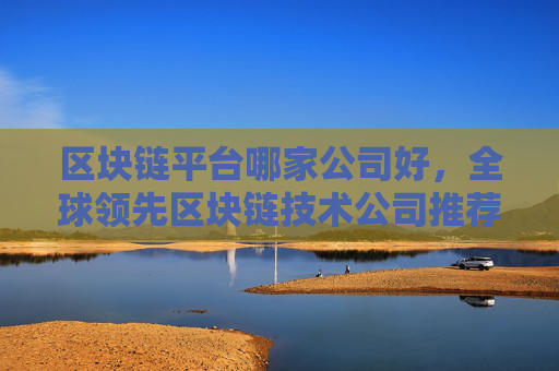 区块链平台哪家公司好,全球领先区块链技术公司推荐