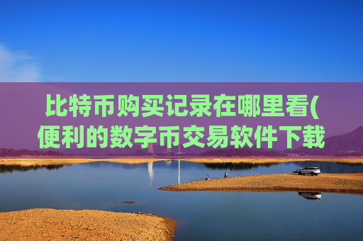 比特币购买记录在哪里看(便利的数字币交易软件下载)