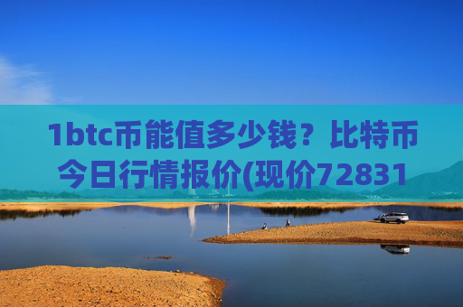 1btc币能值多少钱?比特币今日行情报价(现价728319.02元)
