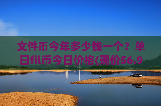 文件币今年多少钱一个?单日fil币今日价格(现价56.9136元)