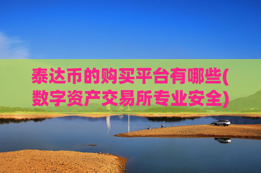 泰达币的购买平台有哪些(数字资产交易所专业安全)