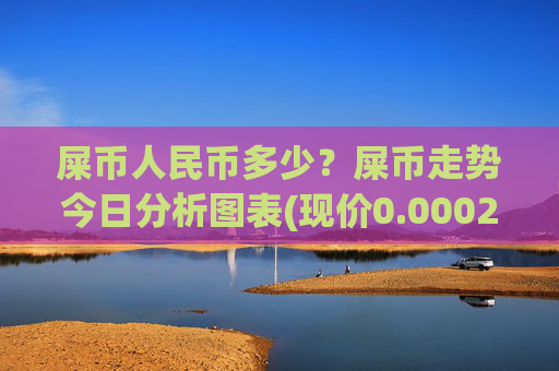 屎币人民币多少?屎币走势今日分析图表(现价0.00023638元)