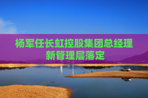 杨军任长虹控股集团总经理 新管理层落定
