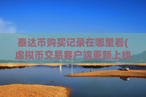 泰达币购买记录在哪里看(虚拟币交易客户端更新上线)