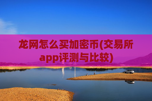 龙网怎么买加密币(交易所app评测与比较)