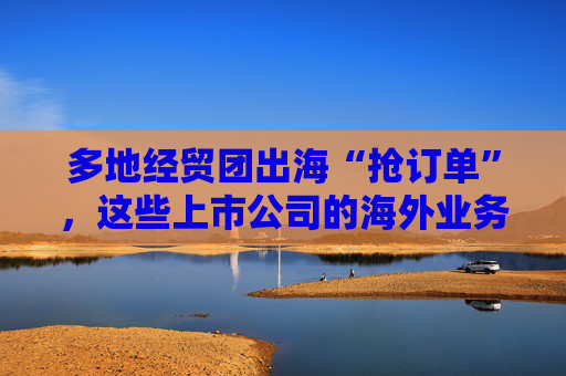 多地经贸团出海“抢订单”，这些上市公司的海外业务团队在行动