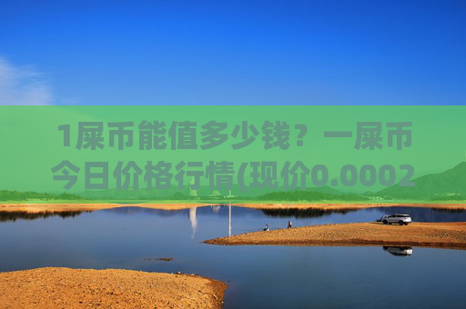 1屎币能值多少钱?一屎币今日价格行情(现价0.00023168元)