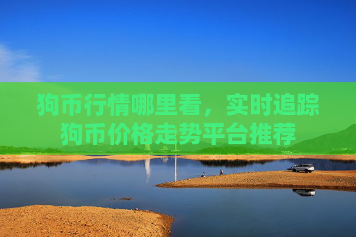 狗币行情哪里看,实时追踪狗币价格走势平台推荐