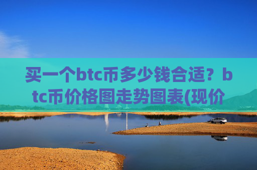 买一个btc币多少钱合适？btc币价格图走势图表(现价729650.81元)