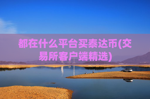 都在什么平台买泰达币(交易所客户端精选)
