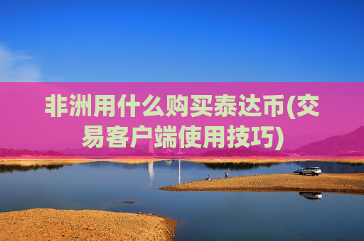 非洲用什么购买泰达币(交易客户端使用技巧)