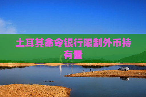 土耳其命令银行限制外币持有量