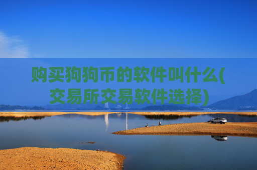 购买狗狗币的软件叫什么(交易所交易软件选择)